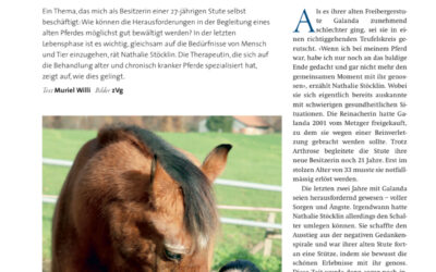 Beitrag über mich im Pferdemagazin Kavallo 07/2025