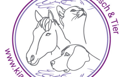 Wie ich zu meiner Berufung fand – alles begann mit einem absolut verrückten Entscheid