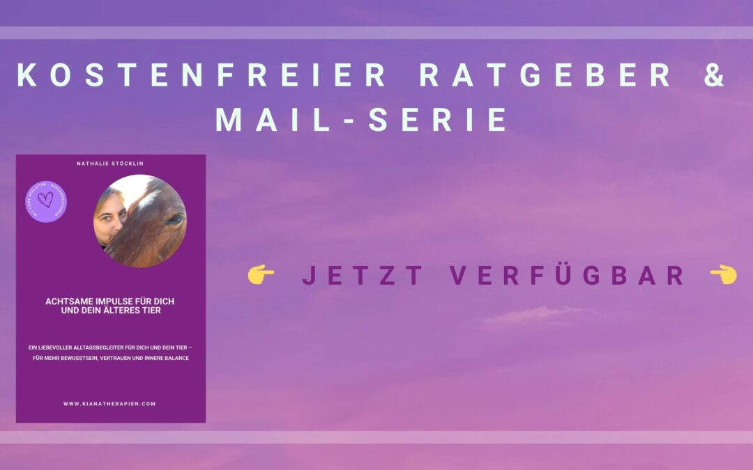Kostenfreier Ratgeber – & inspirierende Impulse für dich und dein älteres Tier 