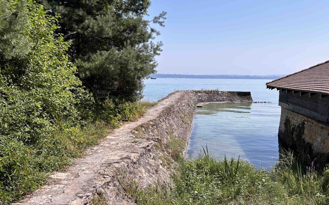 Monatsrückblick August 2025